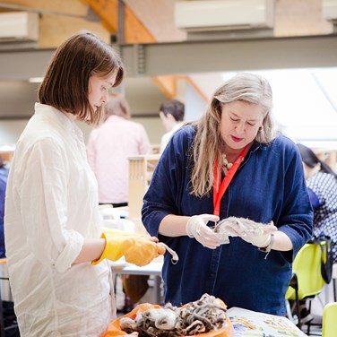 We continue to fund Central Saint Martins, sponsoring the Materials Fund and Clothworkers’ Print Bursary to support students on textiles programmes. 
